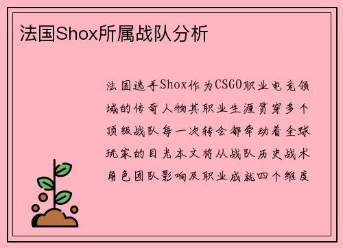 法国Shox所属战队分析